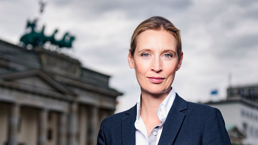 Alice Weidel: Präventivmaßnahmen gegen Sexualstraftäter ...