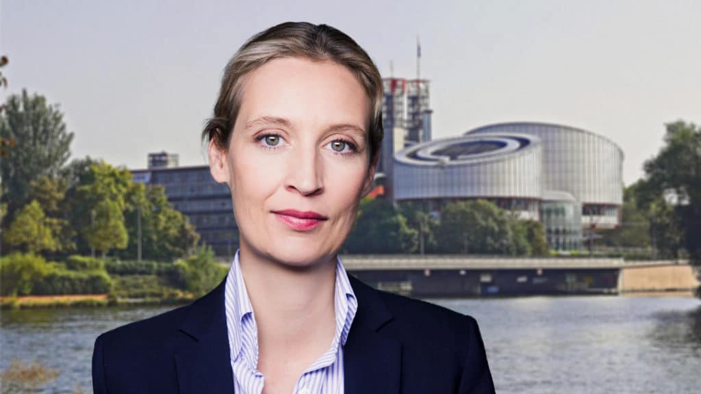 Alice Weidel: Urteil zum EU-Kindergeldtransfer ebnet ...